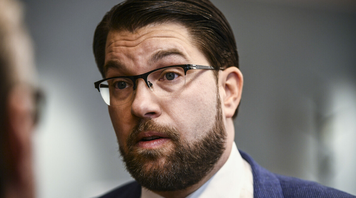 Jimmie Åkesson: Vi ingår i regeringen inom fyra år