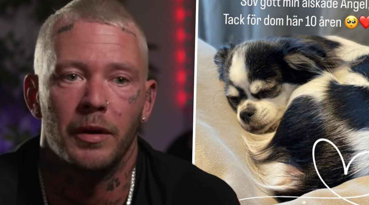 Joakim Lundells hund Ängel har somnat in – i sorg efter dödsfallet