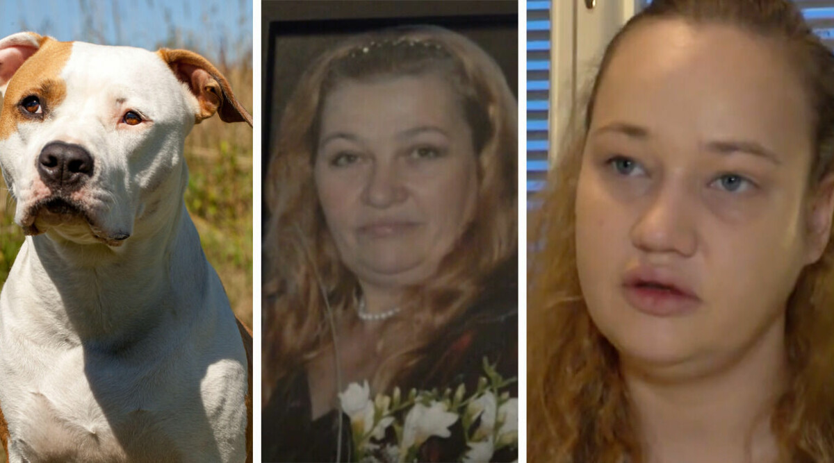 Gunas mamma blev ihjälbiten av egna hunden: ”Var som en skräckfilm”