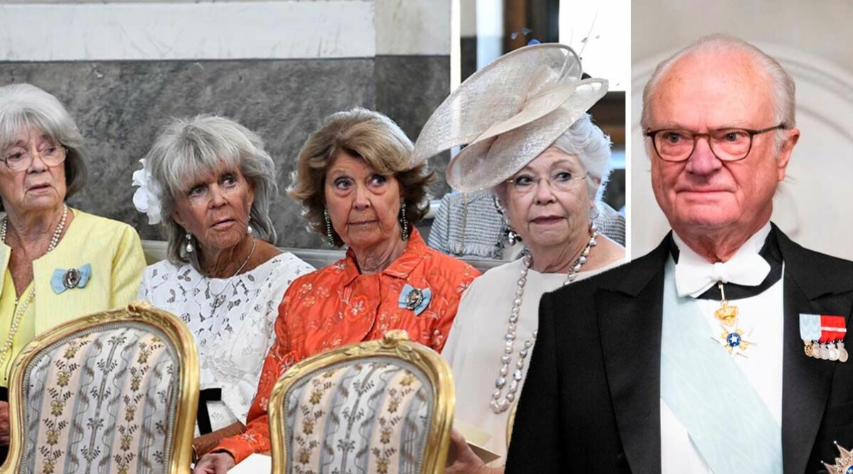 Prinsessan Birgitta om systrarnas förbud mot kungen: ”Vi vill bara..”