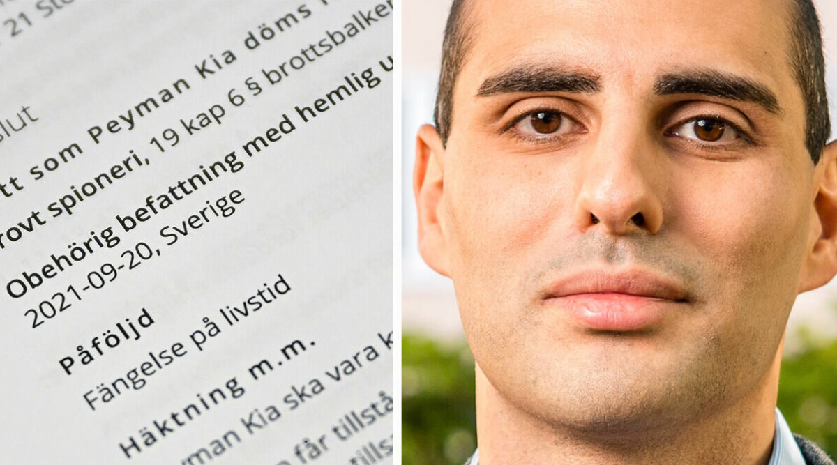 Bröderna döms till långa fängelsestraff för grova spionbrott