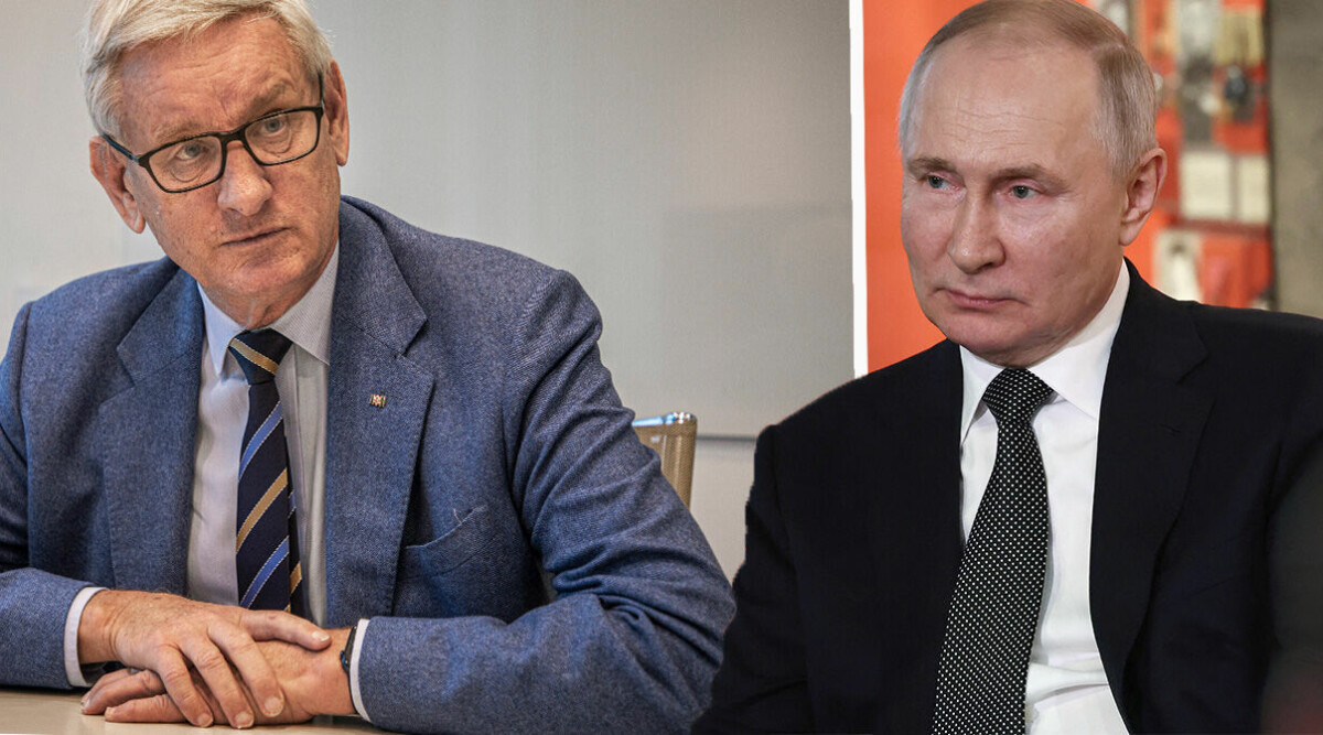 Experternas varning: Fler länder i fara om Putin vinner kriget