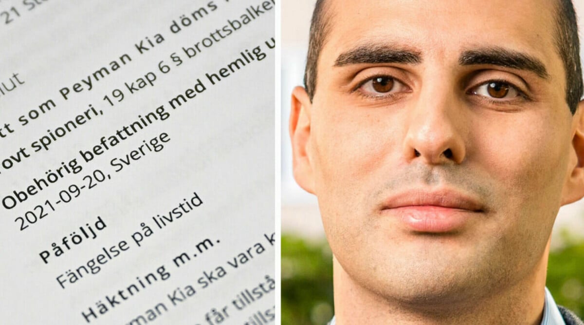 Spiondömde Peyman Kia erkänner delar av brottet: Handlade om pengar