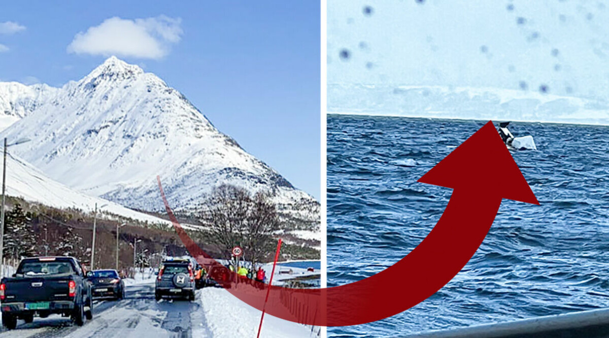 Minst fyra döda i laviner i Norge – hus och ladugård drogs ner i havet