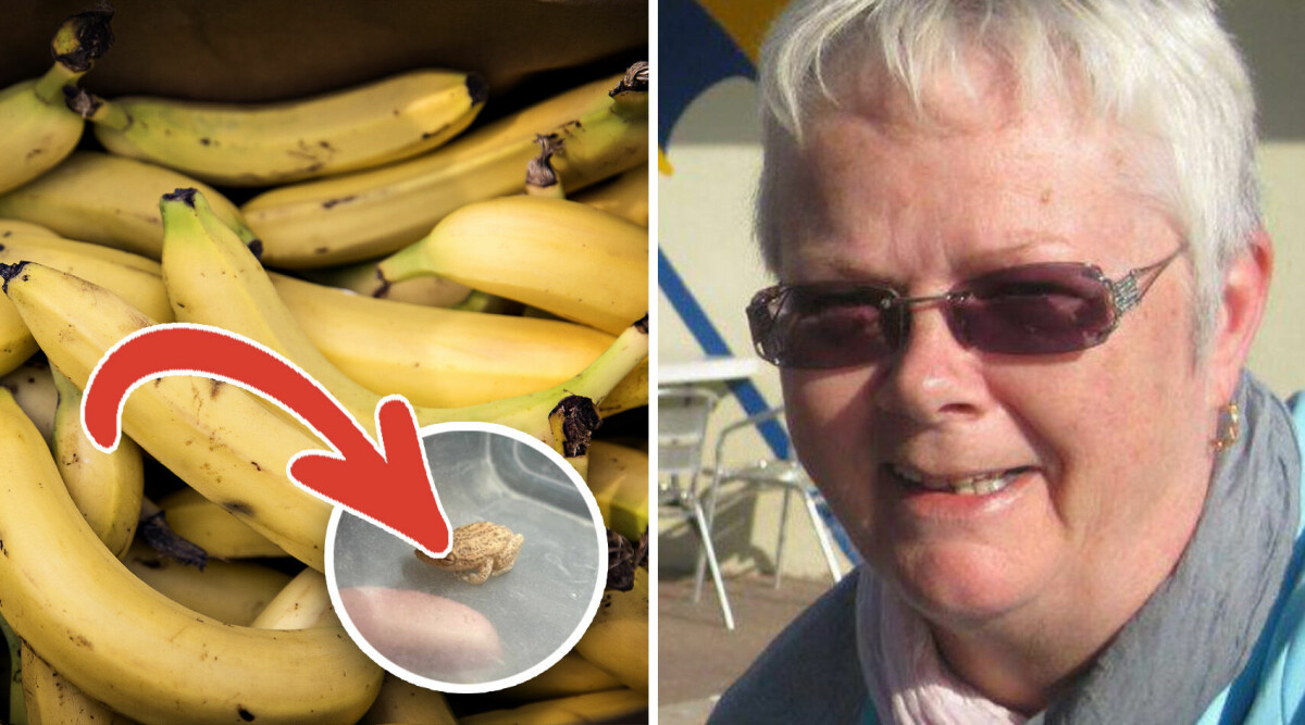 Jans obehagliga upptäckt i bananen: ”Vad i helvete är det där!?”