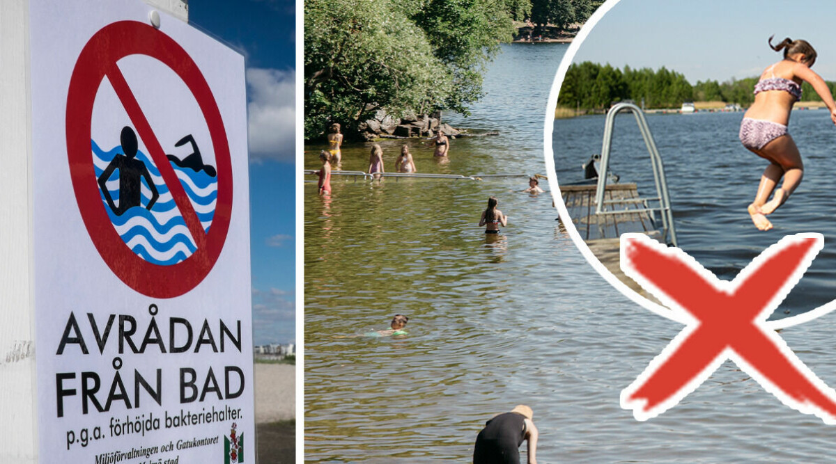 Tolv svenska badplatser du ska undvika i sommar – här är hela listan