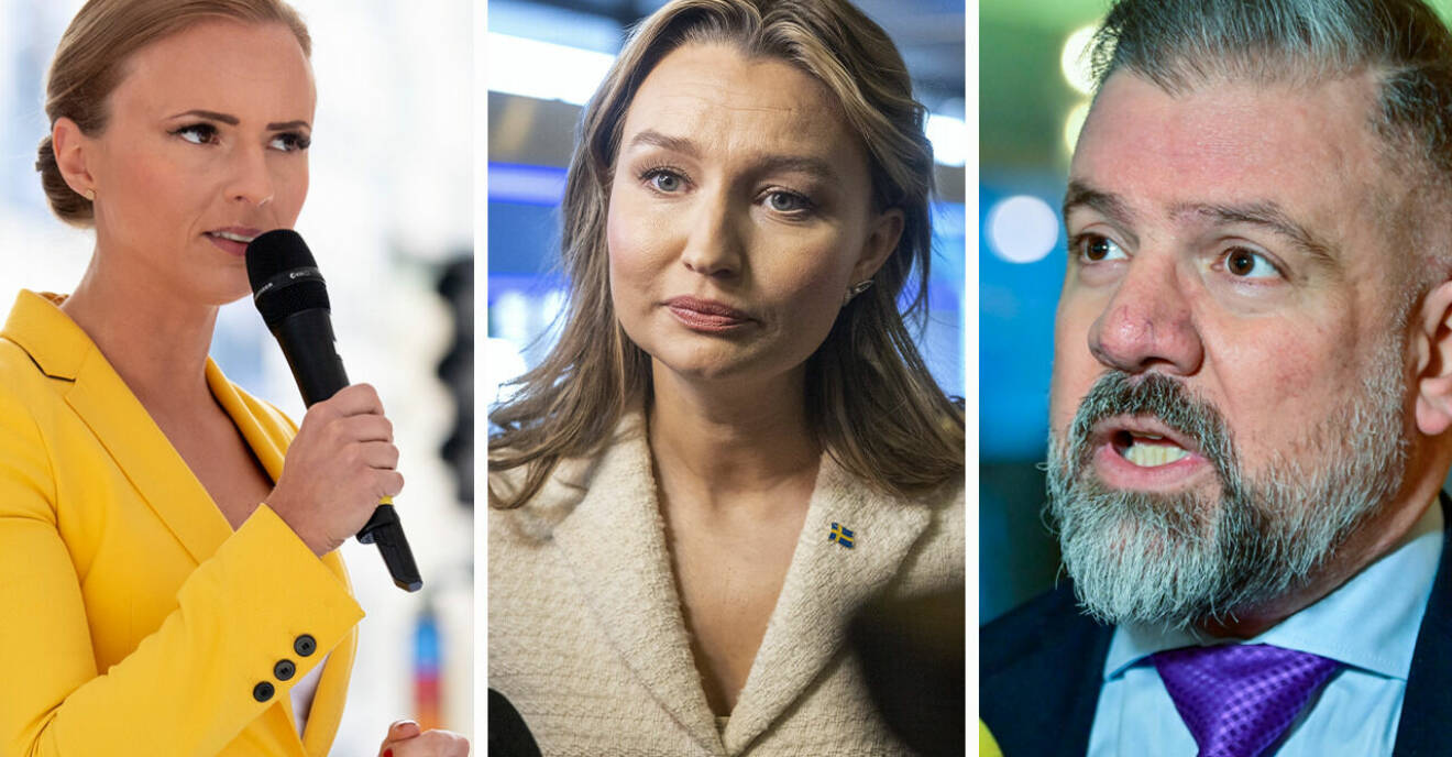 Bekymmer inom KD efter kriserna med Johan Ingerö och Sara Skyttedal – lokala väljarna överger partiet.