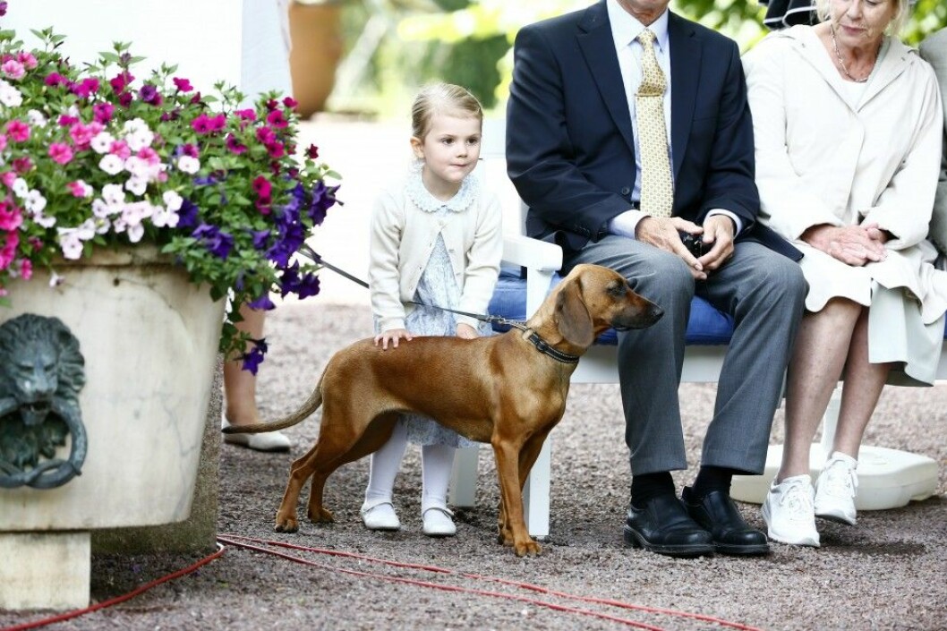 Foto: IBL Princess Victoria's 38th birthday, celebrations at Solliden Palace