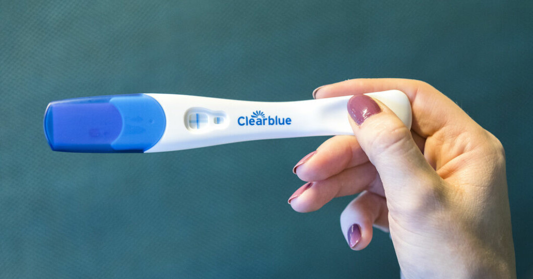 Abortlag pausas i South Carolina. Arkivbild. Abortlag stoppas tillfälligt i South Carolina