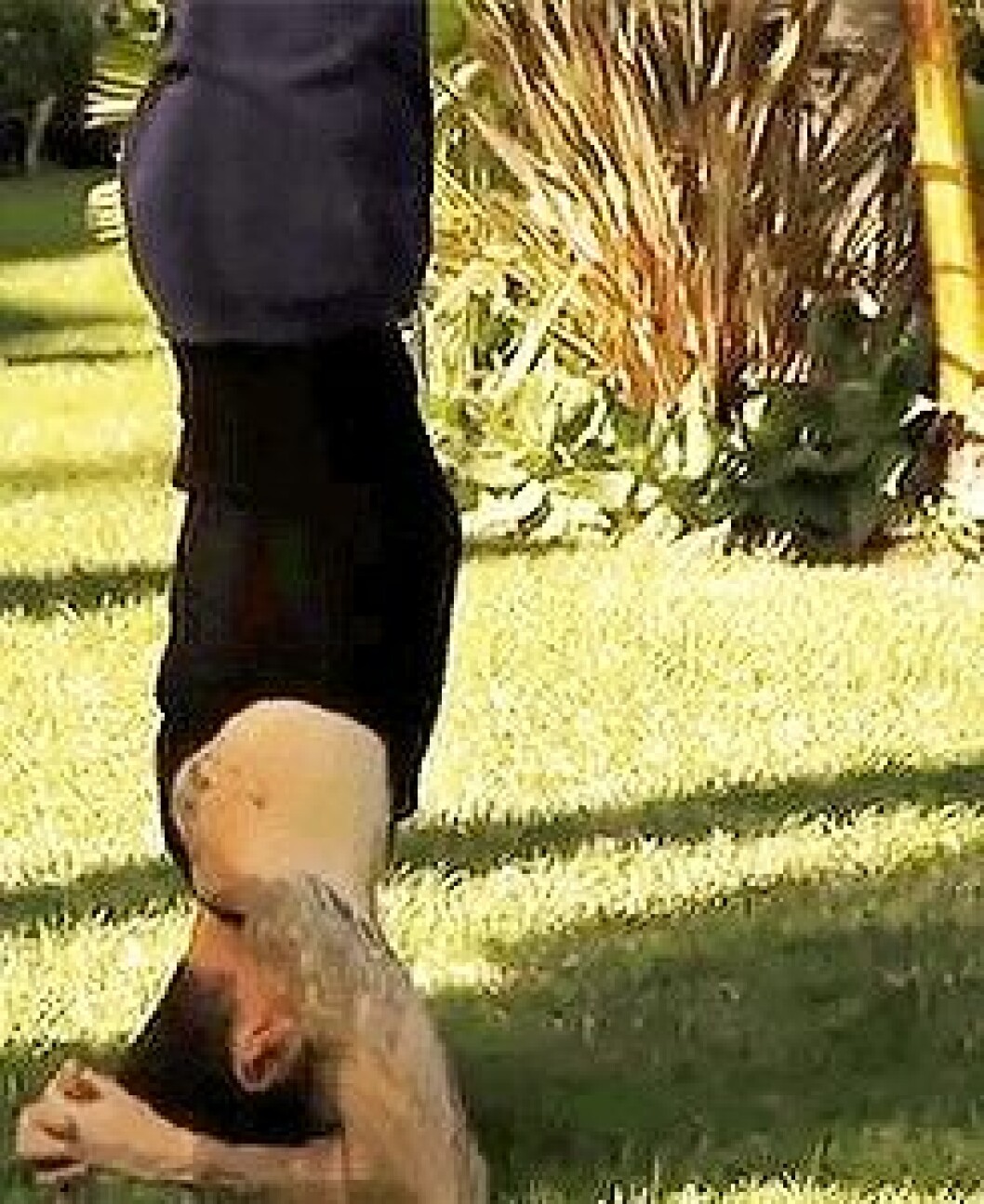 Via: <a href="http://giphy.com/gifs/random-adam-levine-FuYkHc5os1Qdi" target="_blank">Giphy</a> Via: Giphy