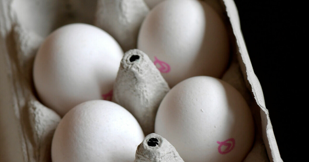 Ägg