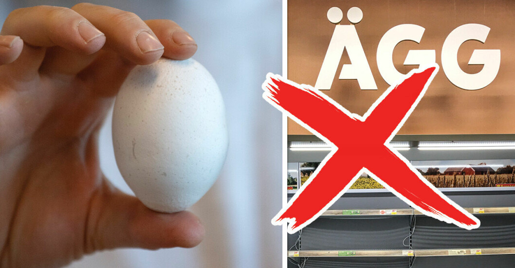 Ägg återkallas salmonella-larm – dessa ska du se upp för