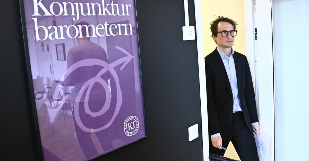 Albin Kainelainen, generaldirektör på Konjunkturinstitutet. Arkivbild. Svenska hushåll lite mindre deppiga