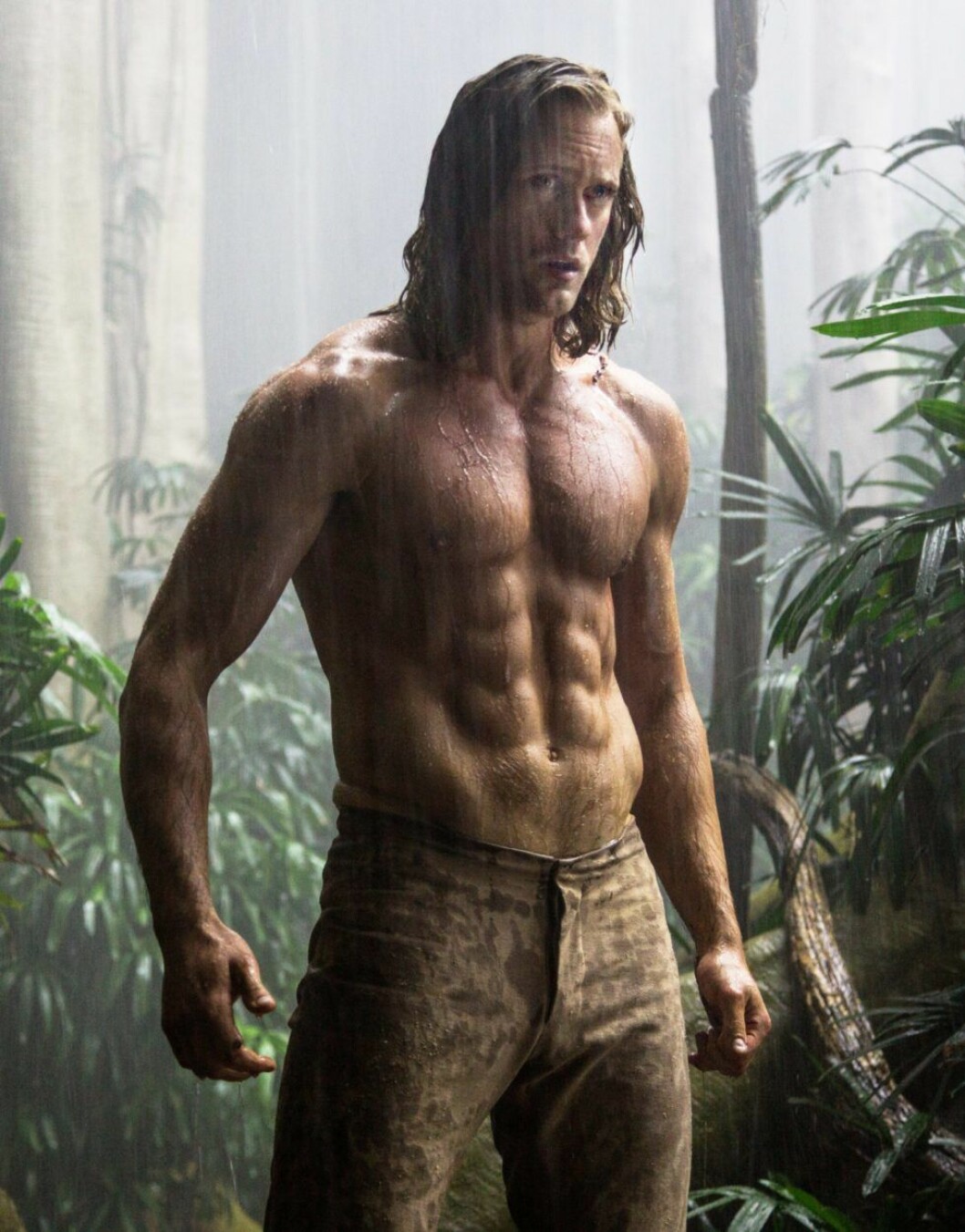 Alexander Skarsgårds tränare la fokus på smidighet och explosivitet. Och såklart lite magrutor. Alexander Skarsgårds tränare la fokus på smidighet och explosivitet. Och såklart lite magrutor.