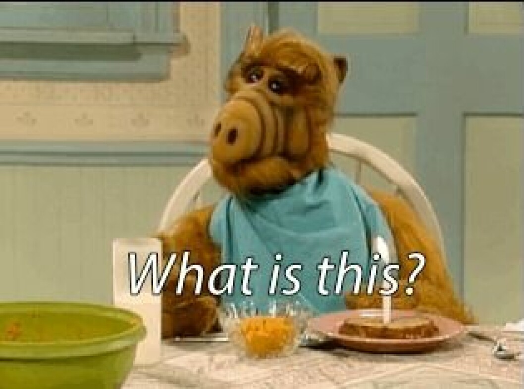 Via: <a href="http://giphy.com/gifs/what-confused-alf-apvx5lPCPsjN6" target="_blank">Giphy</a> Via: Giphy
