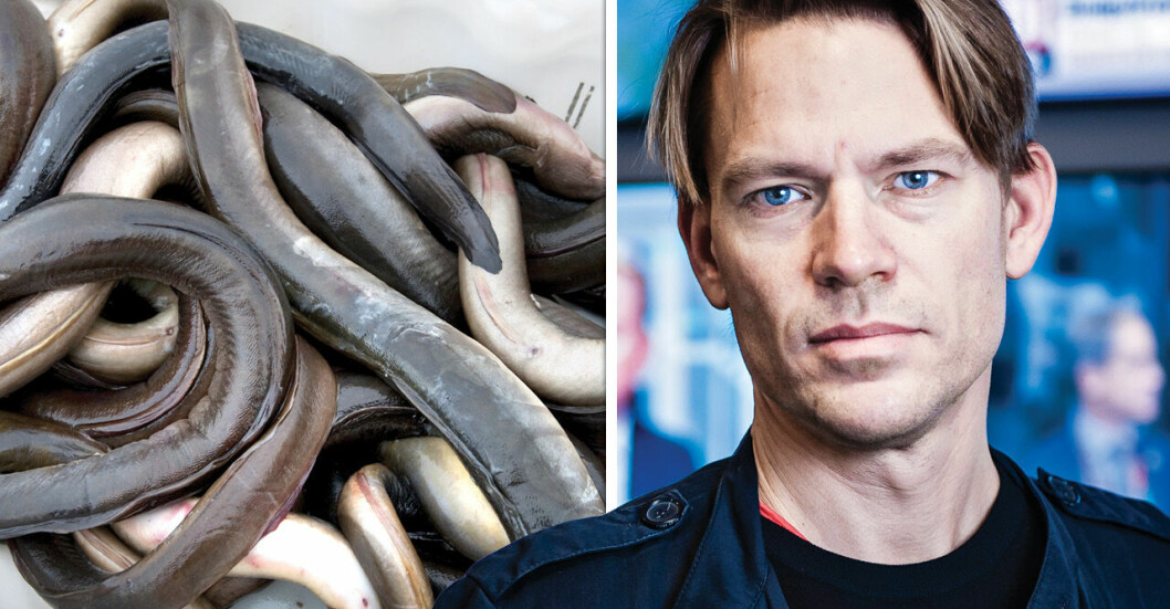 PM Nilsson tagen för olagligt ålfiske – ska betala höga böter: ”Otroligt dumt”
