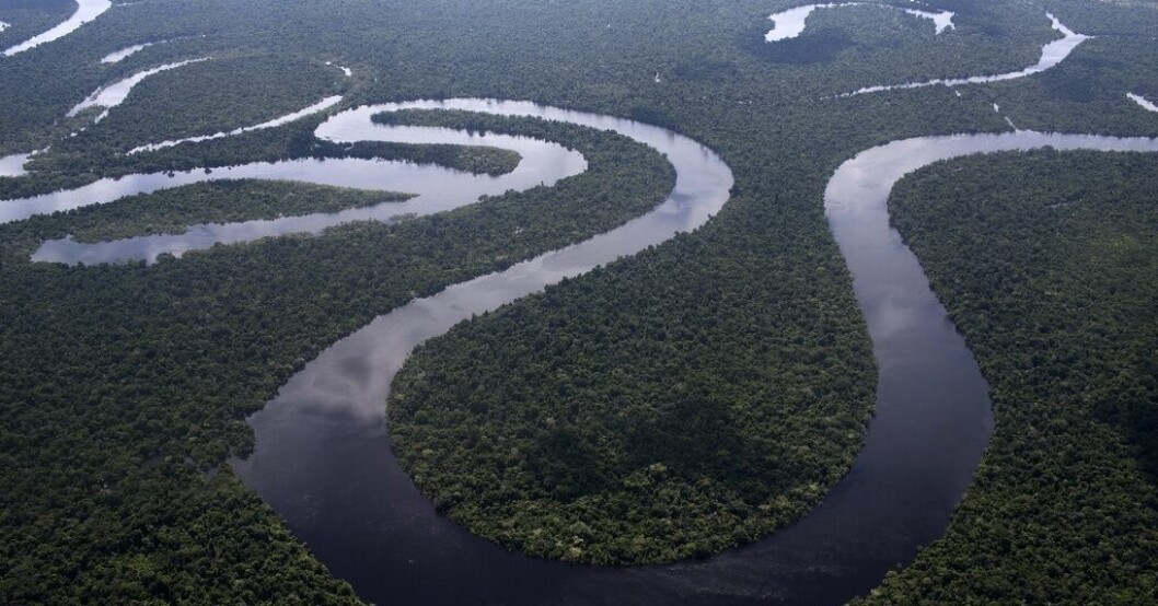 Amazonas regnskog. Arkivbild. Colombia drar tillbaka uppgift om räddade barn