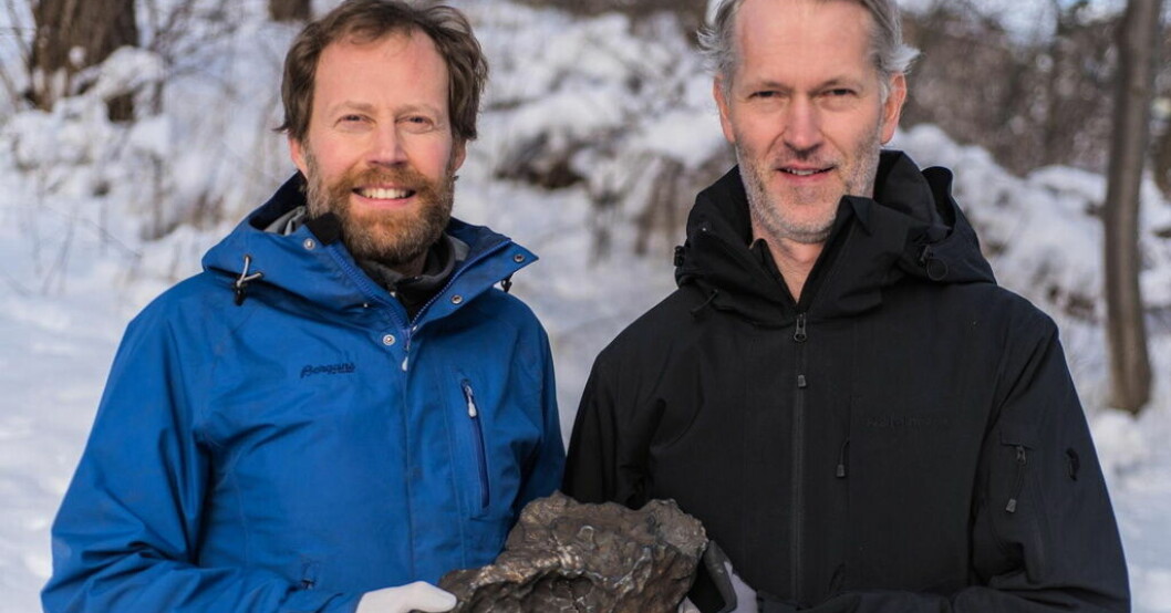 Anders Zetterqvist och Andreas Forsberg hittade stenen. Arkivbild. Hovrätten tar upp rymdstensfall