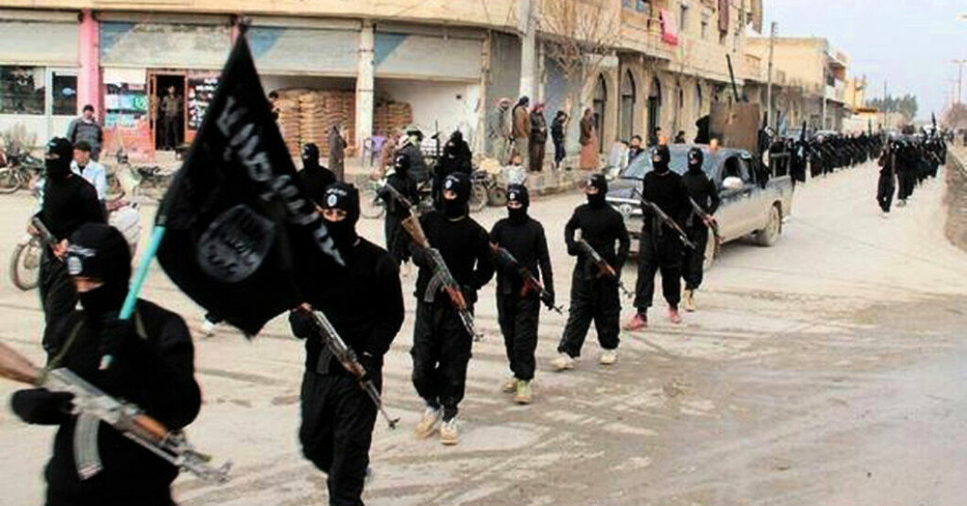 Terrorhäktade uppges figurera i jihadistgrupper