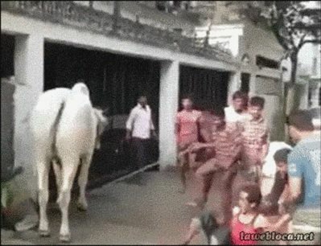 Via: <a href="http://giphy.com/" target="_blank" rel="noopener">Giphy</a> anigif_optimized-22493-1426192498-10