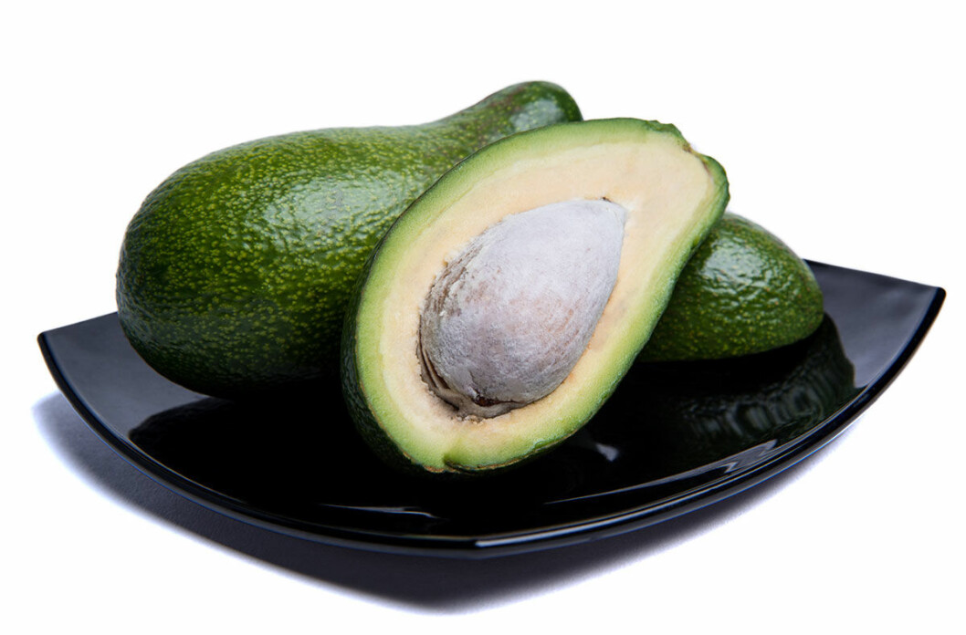 avokado