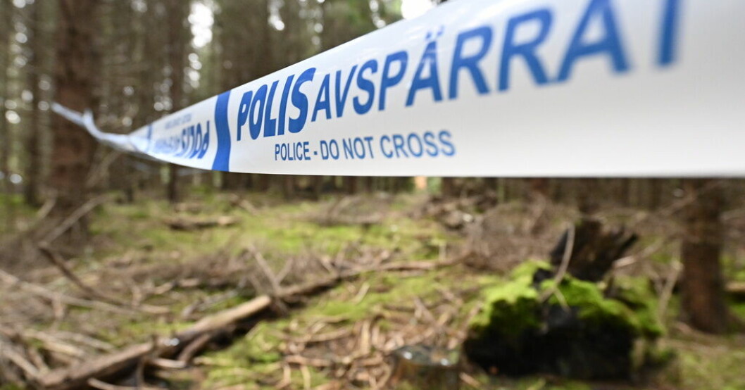 Avspärrningar i skogsområdet där kvarlevorna efter 21-åriga Tove hittades två veckor efter försvinnandet. "Inte meningen att hon skulle dö"