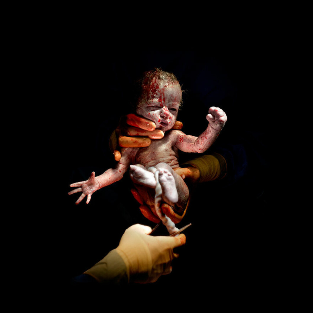 Foto: <a href="http://home.christianberthelot.com/" target="_blank" rel="noopener">Christian Berthelot</a> Foto: Christian Berthelot