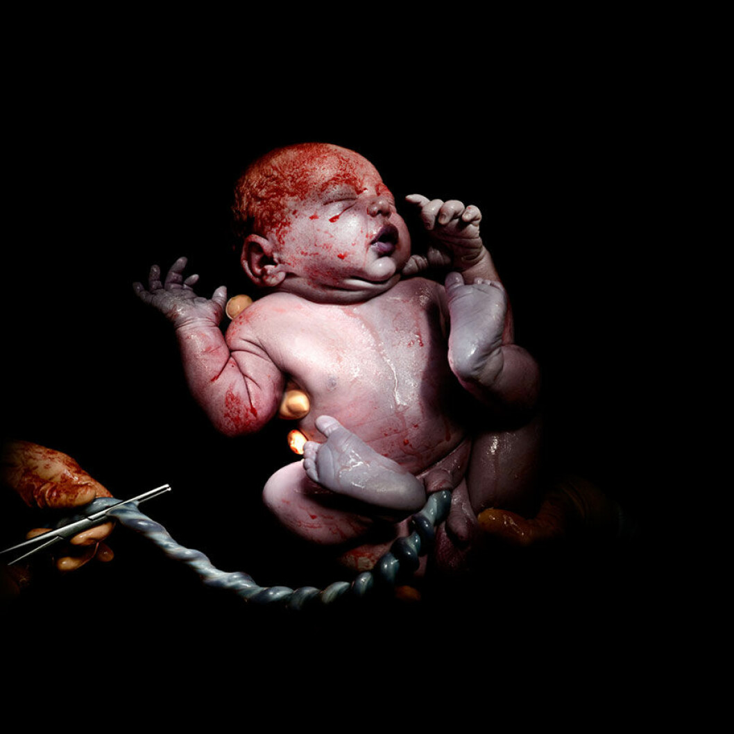 Foto: <a href="http://home.christianberthelot.com/" target="_blank" rel="noopener">Christian Berthelot</a> baby4