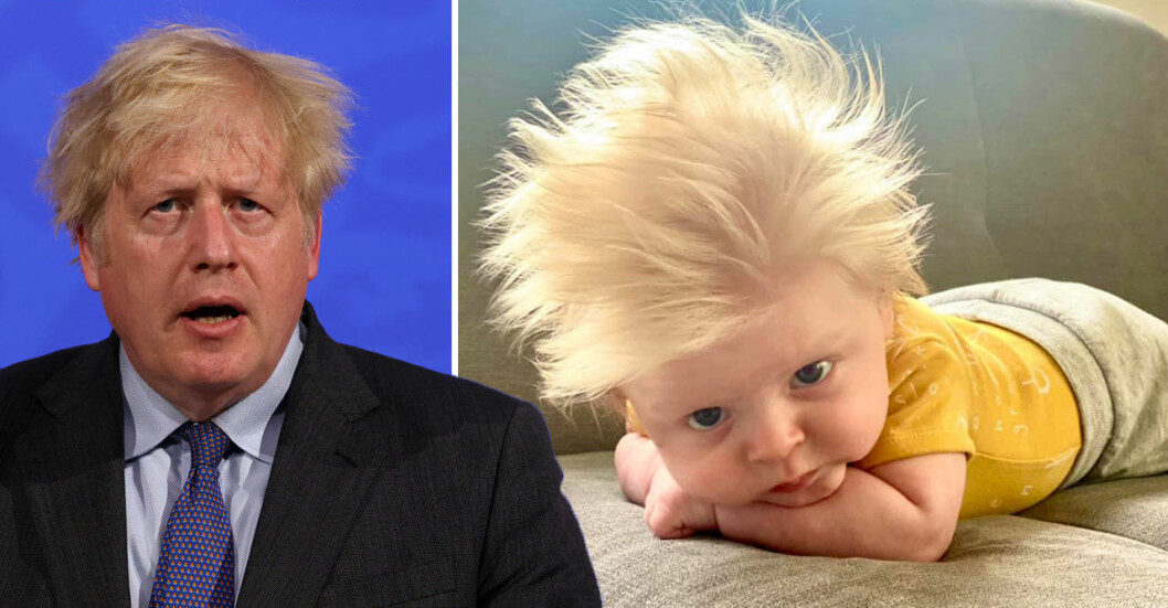 Lika som bär? Lilla David jämförs ofta med Storbritanniens ledare Boris Johnson. Lika som bär? Lilla David jämförs ofta med Storbritanniens ledare Boris Johnson.