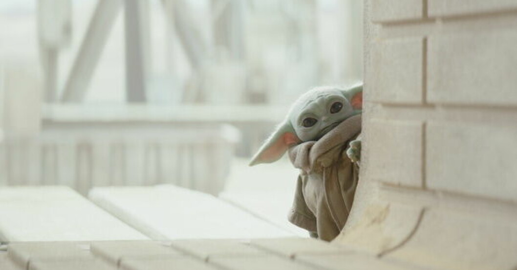 Baby Yoda är en av figurerna i Disneys serie "The mandalorian", serien som nu kritiseras av "Star wars"-fans. Pressbild. Fans sågar Lizzo och Jack Black i Star Wars