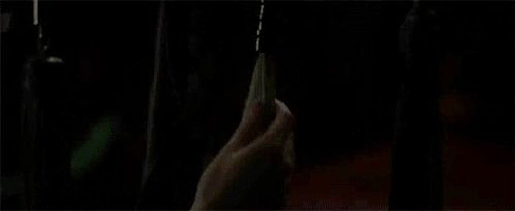 Via: <a href="http://giphy.com/gifs/fifty-shades-of-grey-50-KdveHiW7X58UE" target="_blank" rel="noopener">Giphy</a> BDSM3