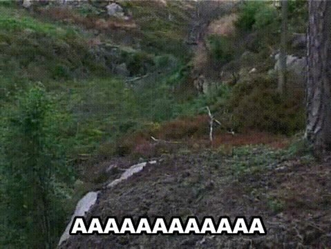 Via: <a href="http://giphy.com/gifs/reactiongifs-mrw-scared-11c2hRHwmvgFOg" target="_blank">Giphy.com</a> Via: Giphy.com