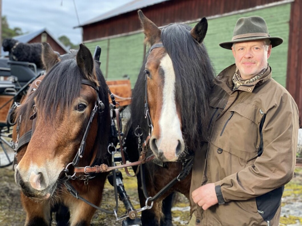 FOTO: TV4 Mats Thomsson, 54 år, hästbonde och hovslagare, Gotland, Bonde söker fru 2020