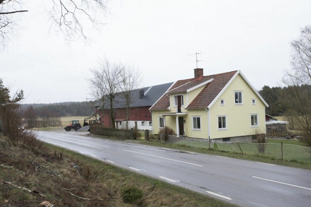Kärleken har flyttat in på familjegården i Tanumshede. Foto: Malin Bondeson Foto: Malin Bondeson
