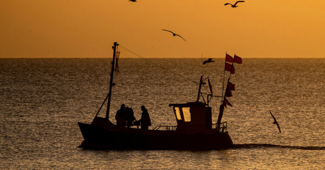 Bottentrålning är en effektiv fiskemetod men den förstör havsbotten och stör djurlivet och livsmiljön där. Arkivbild. EU-förslag om förbud mot bottentrålning