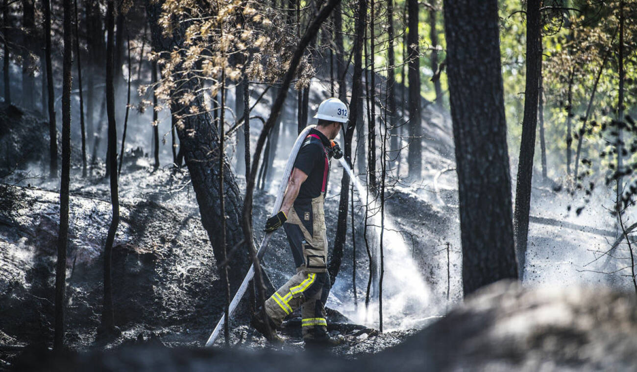 En av alla skogsbränder sommaren 2018.