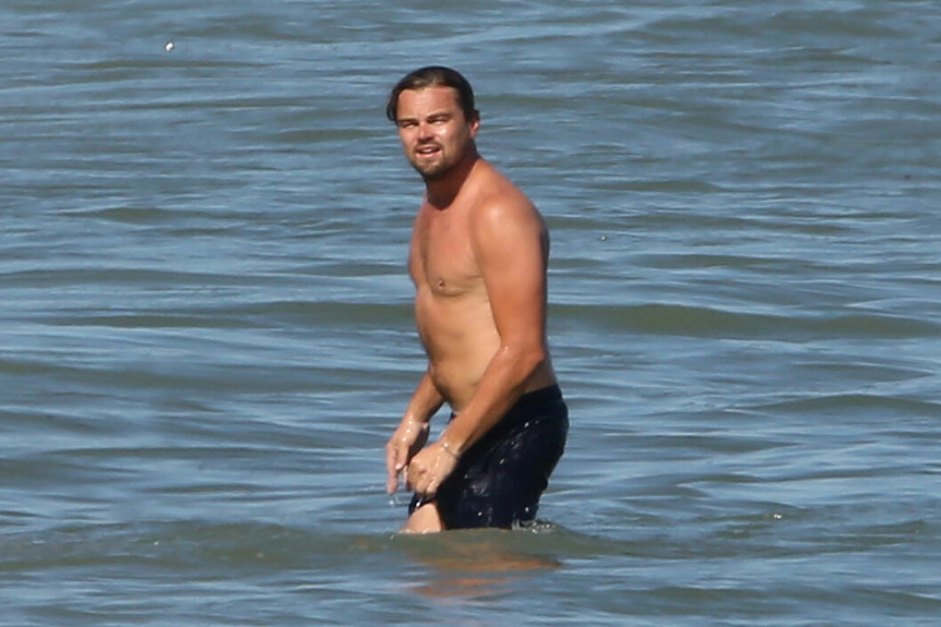 Leonard DiCaprio i vattenbrynet.