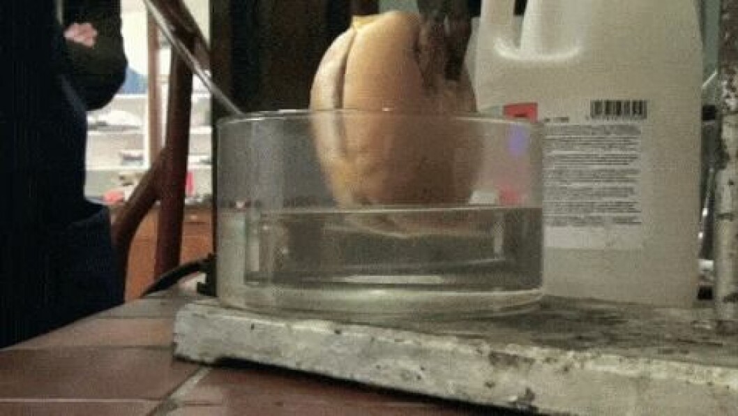 Via: <a href="http://imgur.com/gallery/B1aCC" target="_blank">Imgur</a> burgare1