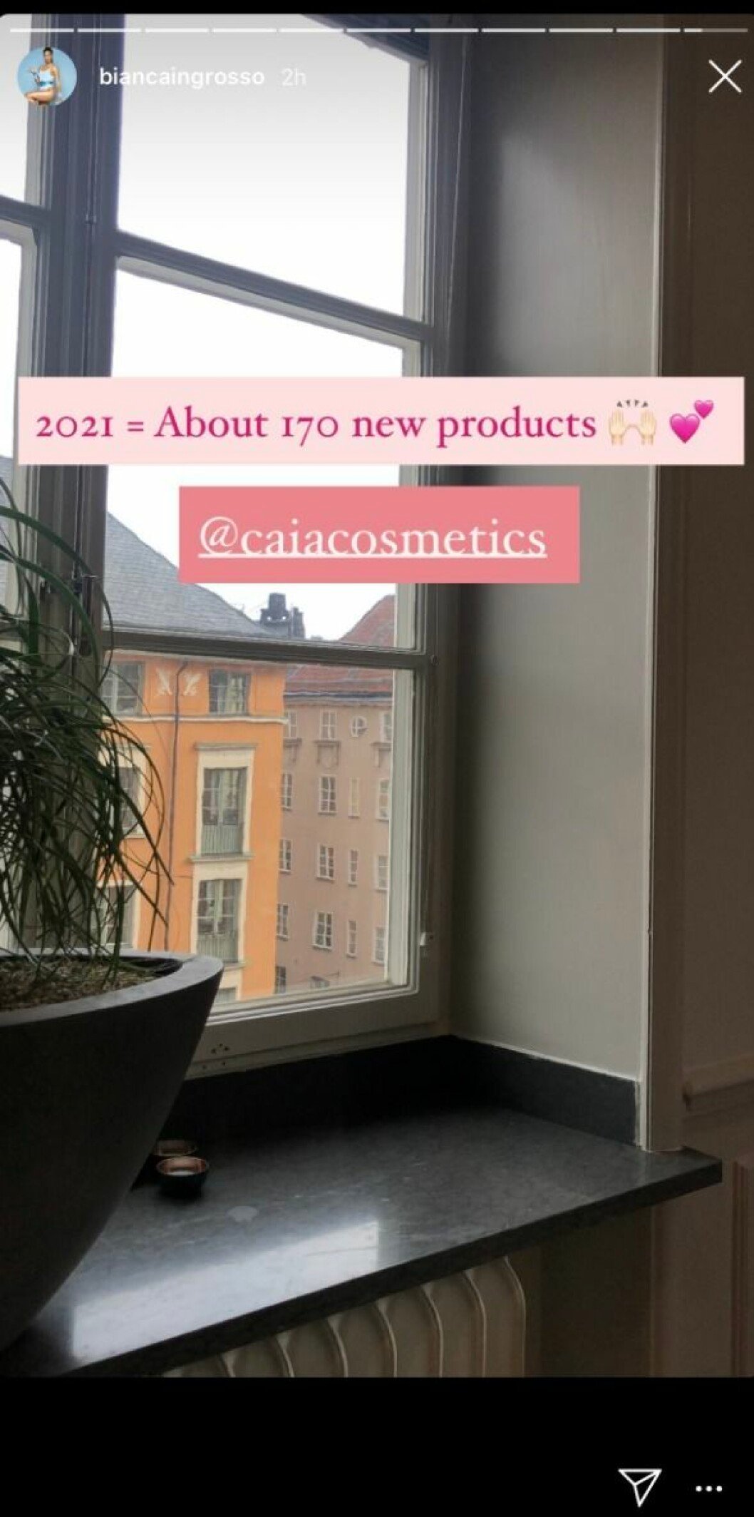 FOTO: Instagram Caia cosmetics produkter