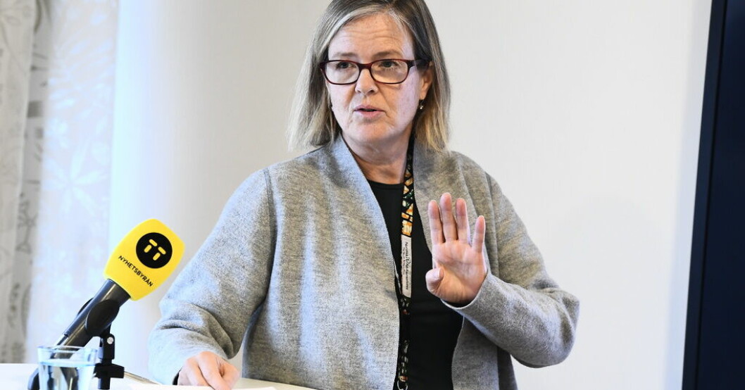 Carin Jämtin får inte förlängt förtroende av regeringen och slutar som generaldirektör för biståndsmyndigheten Sida. Arkivbild. Jämtin får lämna som Sidachef: Ville vara kvar