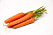 orange carrots very good and sweet