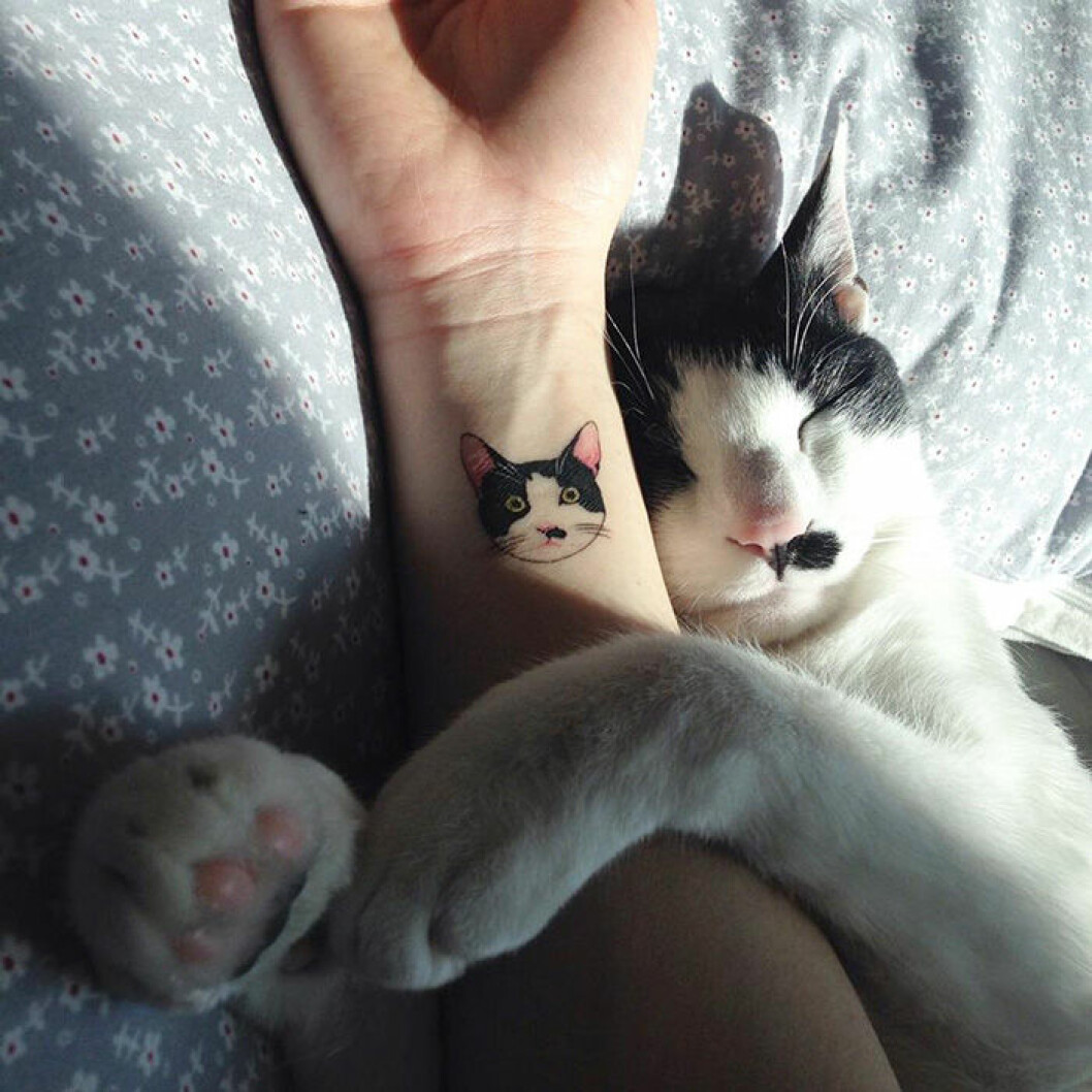 Via: <a href="https://instagram.com/soltattoo/" target="_blank">Instagram</a> Via: Instagram