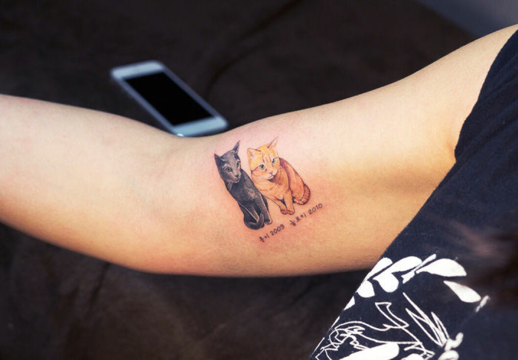 Via: <a href="https://instagram.com/soltattoo/" target="_blank">Instagram</a> Via: Instagram