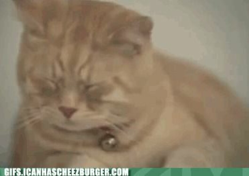 Via <a href="http://cheezburger.com/6103625728" target="_blank" rel="noopener">cheezburger.com</a> Via cheezburger.com