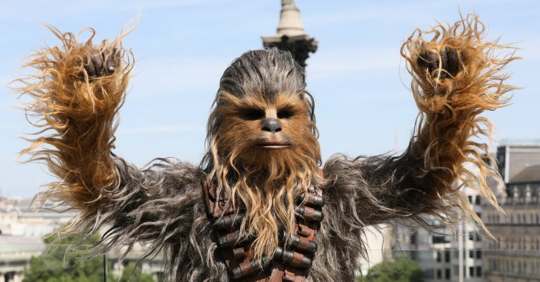 Chewbacca i "Star Wars". Arkivbild. Chewbacca-minnen dras tillbaka från auktion