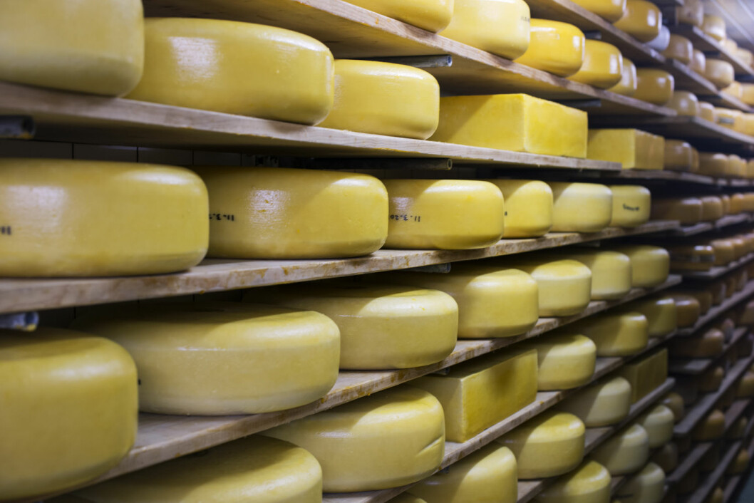 Kom inte in här och se elak ut – mjölken surnar. Eller nåt. Foto: Colourbox cheese factory