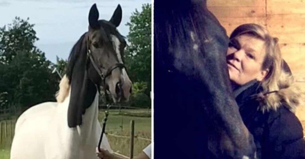 Hästen Cornetta dog av skräck på nyårsafton – ägaren Anna Karlsson förkrossad.
