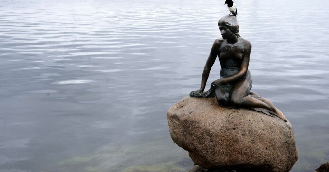 Danskarna är de i Norden som känner mest oro för klimatet, visar en undersökning. På bilden statyn Lilla sjöjungfrun i Köpenhamn. Arkivbild. Danskar mest oroliga över klimatet i Norden