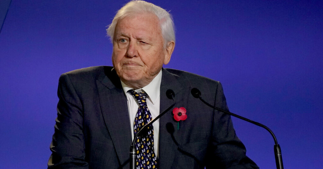 David Attenborough är upprörd över att BBC inte sänder det sjätte avsnittet tillsammans med de andra i hans "Wild isles"-serie. Arkivbild. Storm mot BBC – sänder inte stjärnans program