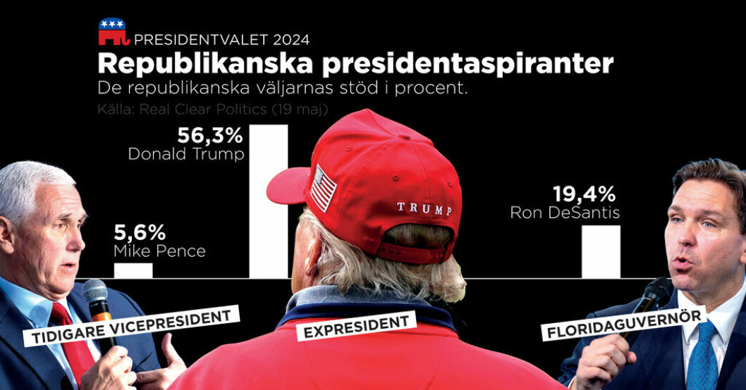 De republikanska väljarnas stöd i procent. Då väntas DeSantis besked – kan utmana Trump